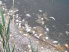 foto/diskuze/z_lovu/2006/th-img7712.jpg