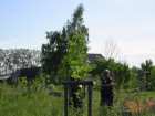 foto/diskuze/z_lovu/2006/th-img7717.jpg