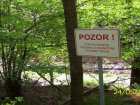 foto/diskuze/z_lovu/2006/th-img7731.jpg