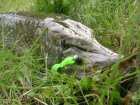 foto/diskuze/z_lovu/2006/th-img7836.jpg