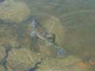 foto/diskuze/z_lovu/2006/th-img8118.jpg