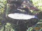 foto/diskuze/z_lovu/2006/th-img8296.jpg