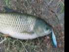 foto/diskuze/z_lovu/2006/th-img8424.jpg