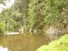 foto/diskuze/z_lovu/2006/th-img8434.jpg