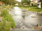 foto/diskuze/z_lovu/2006/th-img8440.jpg