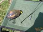 foto/diskuze/z_lovu/2006/th-img8474.jpg