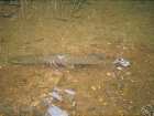 foto/diskuze/z_lovu/2006/th-img8584.jpg