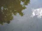 foto/diskuze/z_lovu/2006/th-img8839.jpg