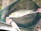 foto/diskuze/z_lovu/2006/th-img9089.jpg