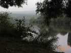 foto/diskuze/z_lovu/2006/th-img9356.jpg