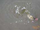 foto/diskuze/z_lovu/2006/th-img9849.jpg