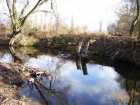 foto/diskuze/z_lovu/2007/th-img10411.jpg