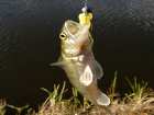 foto/diskuze/z_lovu/2007/th-img10414.jpg