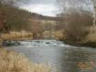 foto/diskuze/z_lovu/2007/th-img10475.jpg