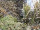 foto/diskuze/z_lovu/2007/th-img10486.jpg