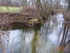 foto/diskuze/z_lovu/2007/th-img10487.jpg