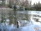 foto/diskuze/z_lovu/2007/th-img10555.jpg