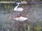 foto/diskuze/z_lovu/2007/th-img10659.jpg