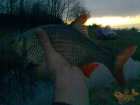 foto/diskuze/z_lovu/2007/th-img10670.jpg