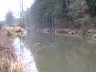 foto/diskuze/z_lovu/2007/th-img10702.jpg