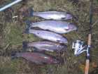 foto/diskuze/z_lovu/2007/th-img10729.jpg