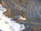 foto/diskuze/z_lovu/2007/th-img10810.jpg
