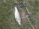 foto/diskuze/z_lovu/2007/th-img10983.jpg