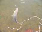foto/diskuze/z_lovu/2007/th-img10986.jpg