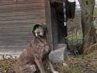 foto/diskuze/z_lovu/2007/th-img11113.jpg