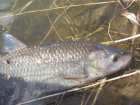 foto/diskuze/z_lovu/2007/th-img11148.jpg