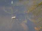 foto/diskuze/z_lovu/2007/th-img11389.jpg