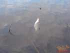 foto/diskuze/z_lovu/2007/th-img11419.jpg