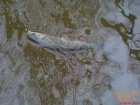 foto/diskuze/z_lovu/2007/th-img11492.jpg