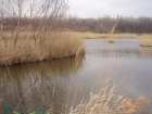 foto/diskuze/z_lovu/2007/th-img11504.jpg