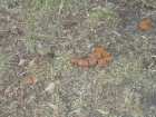 foto/diskuze/z_lovu/2007/th-img11751.jpg