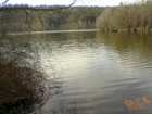 foto/diskuze/z_lovu/2007/th-img11766.jpg