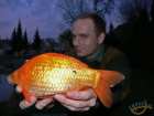 foto/diskuze/z_lovu/2007/th-img11813.jpg