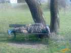 foto/diskuze/z_lovu/2007/th-img11832.jpg