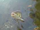 foto/diskuze/z_lovu/2007/th-img11913.jpg