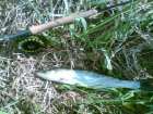 foto/diskuze/z_lovu/2007/th-img11960.jpg