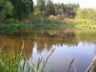 foto/diskuze/z_lovu/2007/th-img12021.jpg