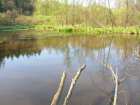 foto/diskuze/z_lovu/2007/th-img12022.jpg