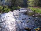 foto/diskuze/z_lovu/2007/th-img12061.jpg
