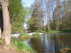 foto/diskuze/z_lovu/2007/th-img12149.jpg