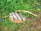 foto/diskuze/z_lovu/2007/th-img12206.jpg