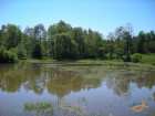 foto/diskuze/z_lovu/2007/th-img12309.jpg