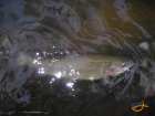 foto/diskuze/z_lovu/2007/th-img12365.jpg