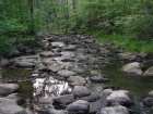 foto/diskuze/z_lovu/2007/th-img12366.jpg
