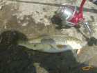 foto/diskuze/z_lovu/2007/th-img12376.jpg