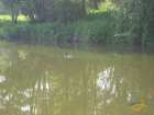 foto/diskuze/z_lovu/2007/th-img12401.jpg